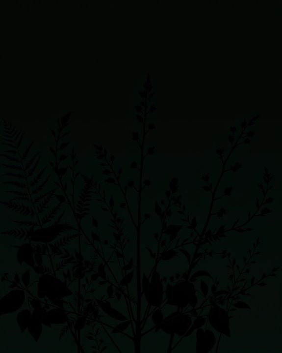 botanical silhouettes dark backgrounds